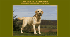 Desktop Screenshot of labradors-dog.com